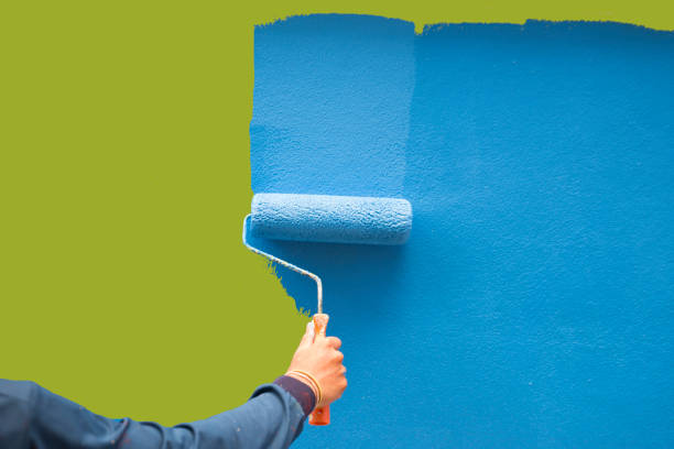 Best Mold Odor Removal Services  in Charleston, MO